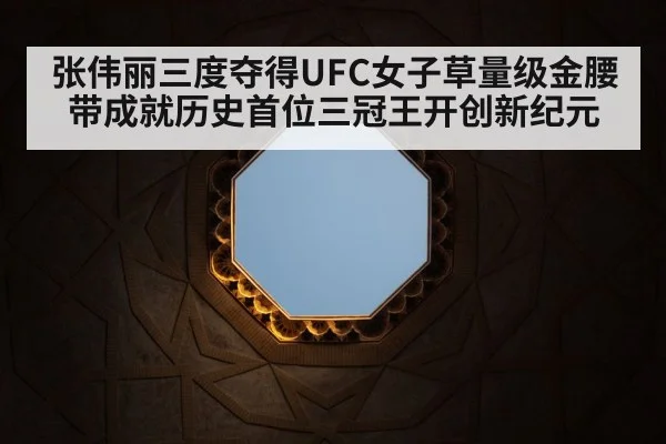 UFC octagon | kaiyun